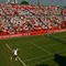 Lawn Tennis court, The Artois Championship, London, England 2008