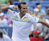 Radek Stepanek 2011